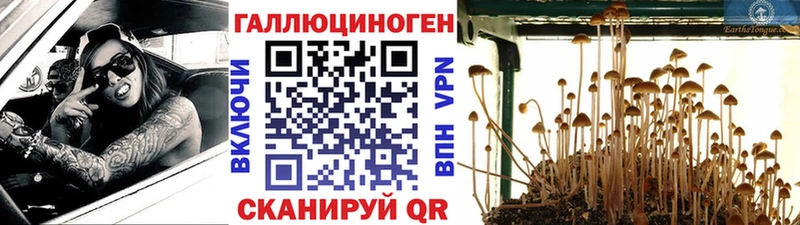 Галлюциногенные грибы Cubensis Сортавала